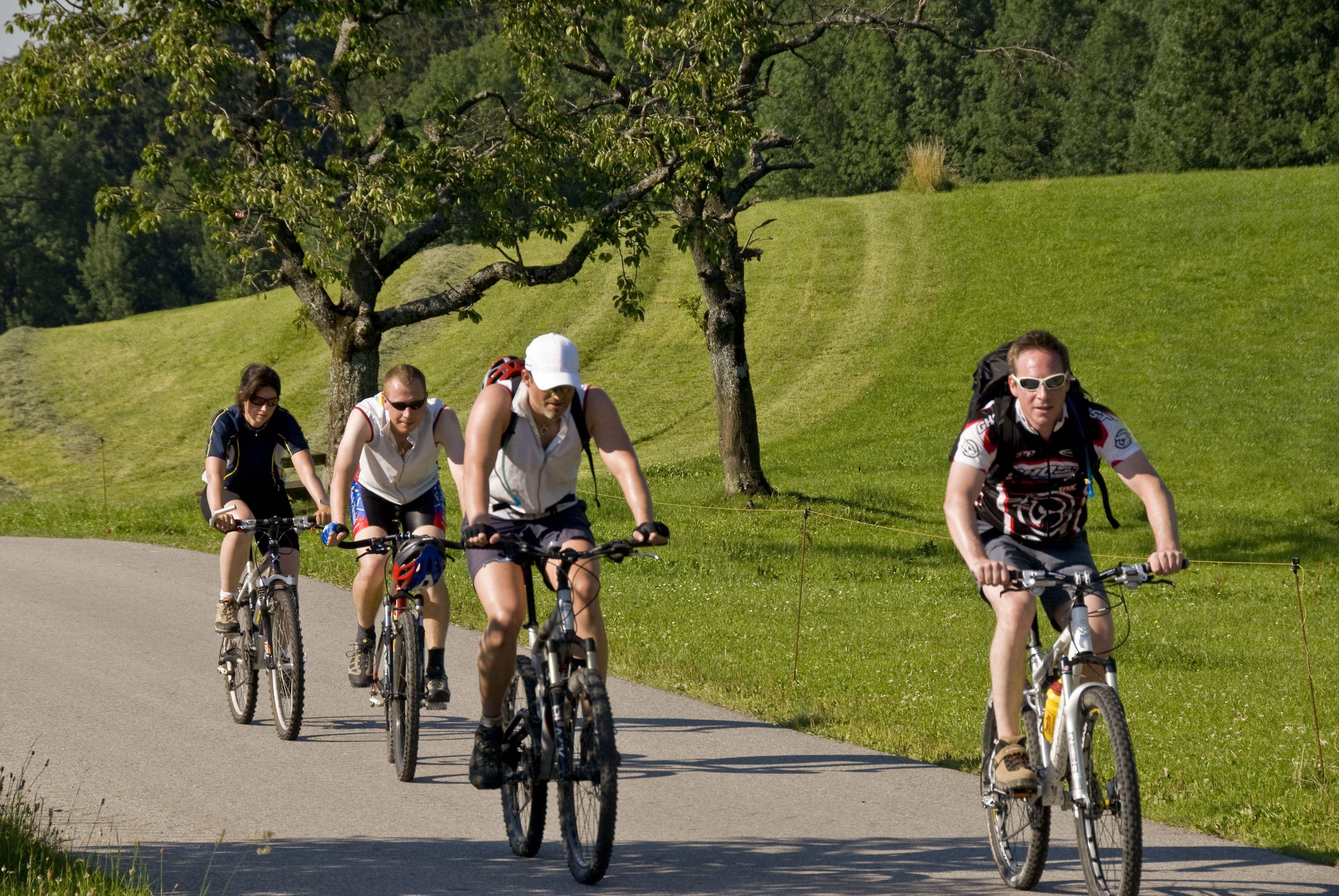 Eine Gruppe Radfahrer fährt durch die Natur.